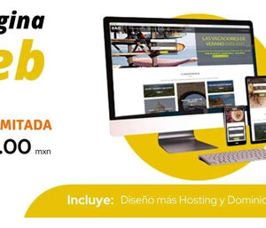 Web Profesional